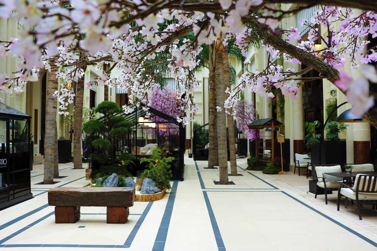 モンテカルロSBMから桜だより<br />日本伝統の“春まつり”をオテル・ド・パリで開催